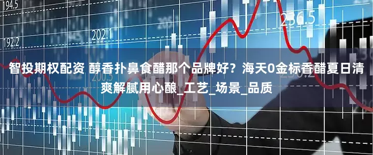 智投期权配资 醇香扑鼻食醋那个品牌好？海天0金标香醋夏日清爽解腻用心酿_工艺_场景_品质