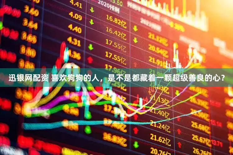 迅银网配资 喜欢狗狗的人，是不是都藏着一颗超级善良的心？