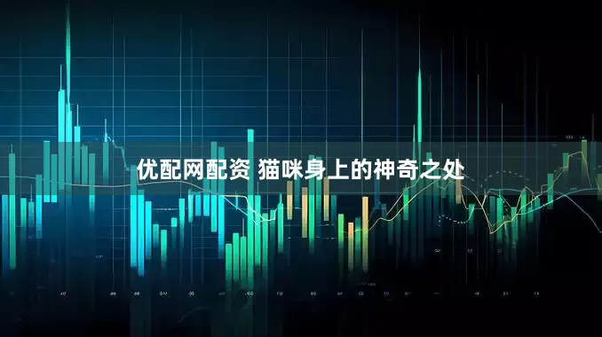 优配网配资 猫咪身上的神奇之处