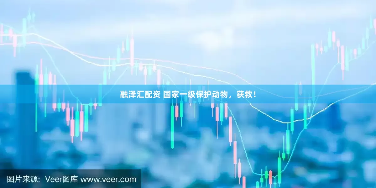融泽汇配资 国家一级保护动物，获救！