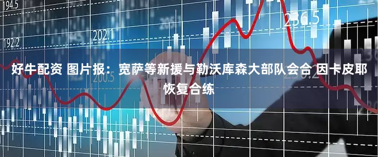 好牛配资 图片报：宽萨等新援与勒沃库森大部队会合 因卡皮耶恢复合练