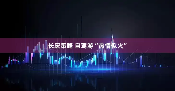 长宏策略 自驾游“热情似火”
