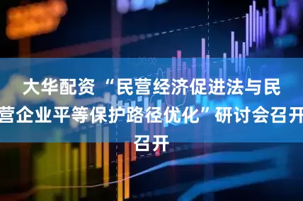 大华配资 “民营经济促进法与民营企业平等保护路径优化”研讨会召开