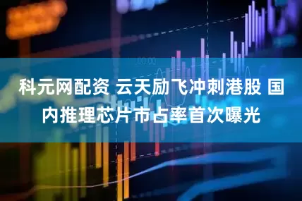 科元网配资 云天励飞冲刺港股 国内推理芯片市占率首次曝光
