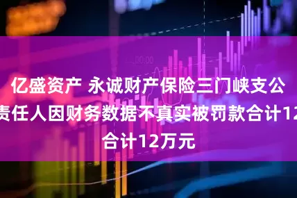 亿盛资产 永诚财产保险三门峡支公司及责任人因财务数据不真实被罚款合计12万元