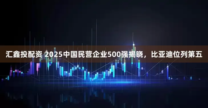 汇鑫投配资 2025中国民营企业500强揭晓，比亚迪位列第五