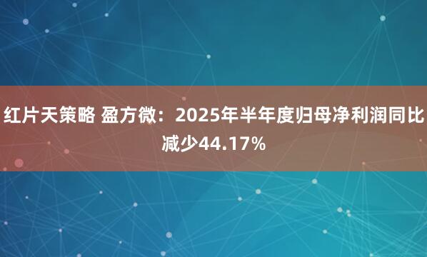 红片天策略 盈方微:2025年半年度归母净利润同比减少44.17%