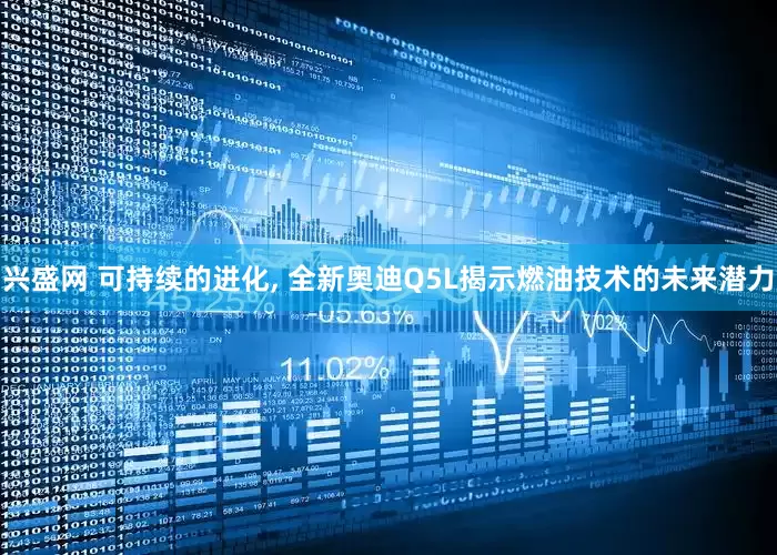 兴盛网 可持续的进化, 全新奥迪Q5L揭示燃油技术的未来潜力